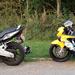 kåbeglas til Cbr 600 F4 1999