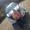 Jesper P