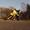 steffen(Horsens) .