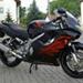 Mørkt kåbeglas til Honda CBR 600 F4