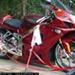 honda cbr 900 RR