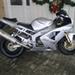Hjælp omkring 650 dragstar på nettet