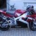 yamaha dt 175