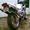 Jesper N
