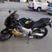 LeoVonce Evo2