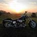 shovelhead (rockerbox)