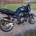 nypris 1200 bandit