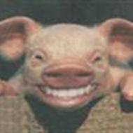 Jimmi R