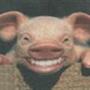 Jimmi R