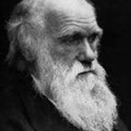 Kristian V