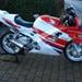 Dæk til Honda CBR600 F2 ?