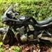 suzuki bandit 600 VS. YAMAHA XJ 600  