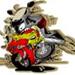 Akrapovic Titaniums Potter