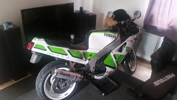 fzr 1000 fra 87 en gensing 