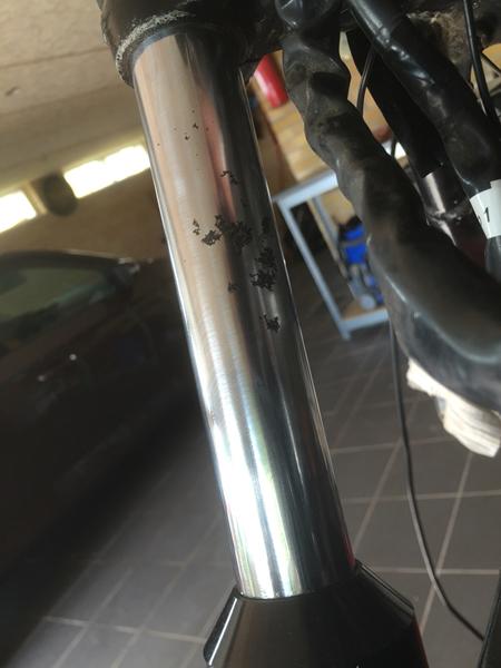Forgaffel pest?