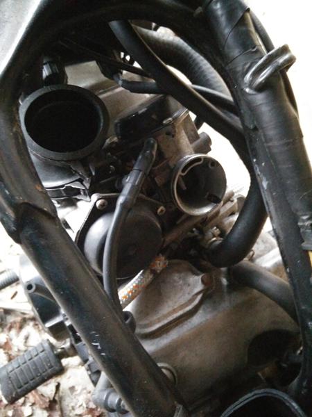 indsugnings slange/flexslange