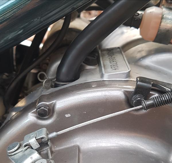 Hvilken slange er dette?