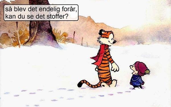 profilbillede