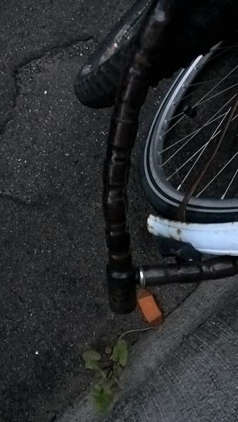 profilbillede