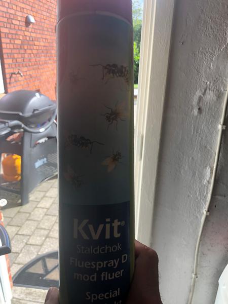 profilbillede