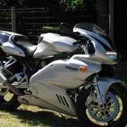 Ducati 800 sport