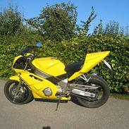 Yamaha FZR 600 -- SOLGT--