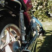 Suzuki ZR50SL (chopper)