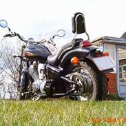 Honda VT 600 Shadow