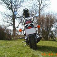 Honda VT 600 Shadow