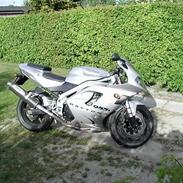 Triumph Daytona 955i