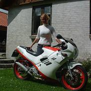 Suzuki Gsx250R
