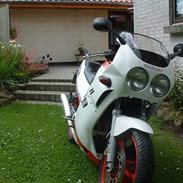 Suzuki Gsx250R