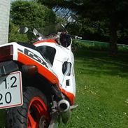 Suzuki Gsx250R