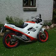 Suzuki Gsx250R