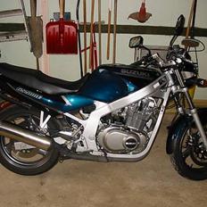 Suzuki GS500E [SOLGT] 