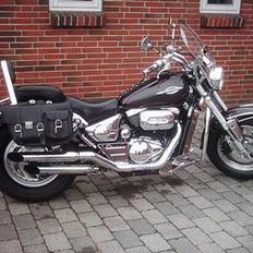 Suzuki VZ 800 Marauder