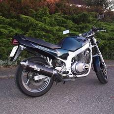 Suzuki GS500E [SOLGT] 