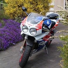 Honda Cbr 900 rr Fireblade