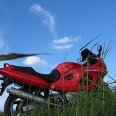 Suzuki GSX600F - SOLGT