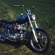 Triumph T 100