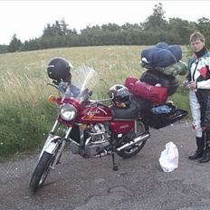 Honda CX 500 Standart