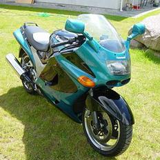 Kawasaki ZZR 1100 D"EMON"