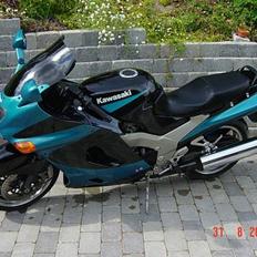 Kawasaki ZZR 1100 D"EMON"