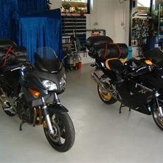 Honda CBR1100XX Superblackbird