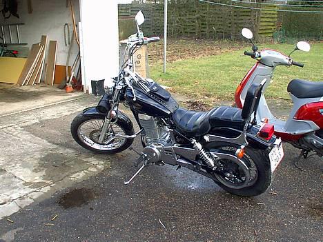 Suzuki LS 650 billede 3
