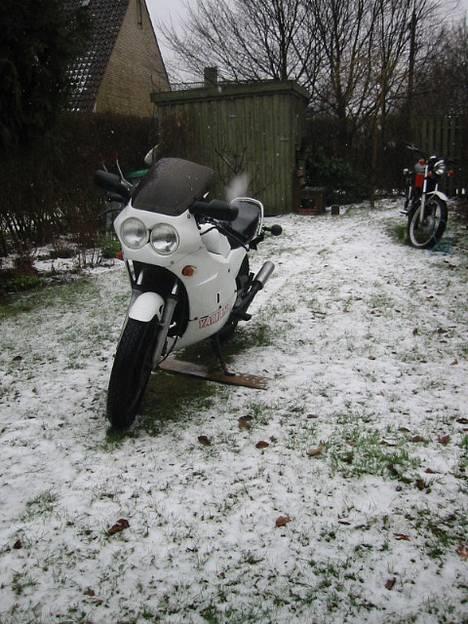 Yamaha RD350LC billede 2