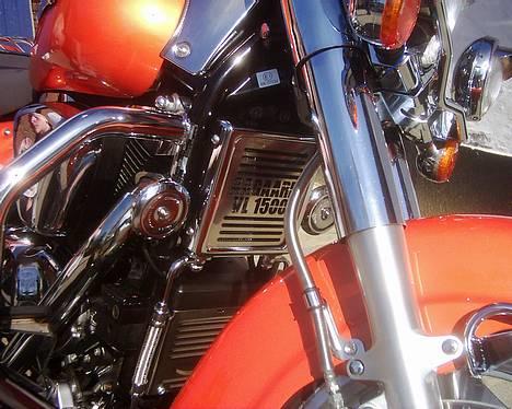 Suzuki VL 1500 - Lille detalje ved oliekøler billede 3