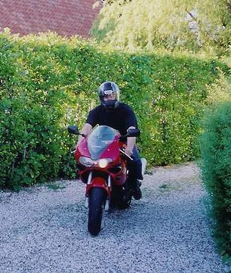 Suzuki TL 1000 S billede 2