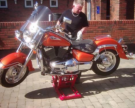 Suzuki VL 1500 - Rart med en god "pudse" højde billede 10