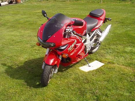 Suzuki TL 1000 s billede 7